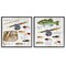 Stupell Industries Vintage Fishing Gear 2 pc Framed Giclee Wall Art Set Design by Patricia Pinto